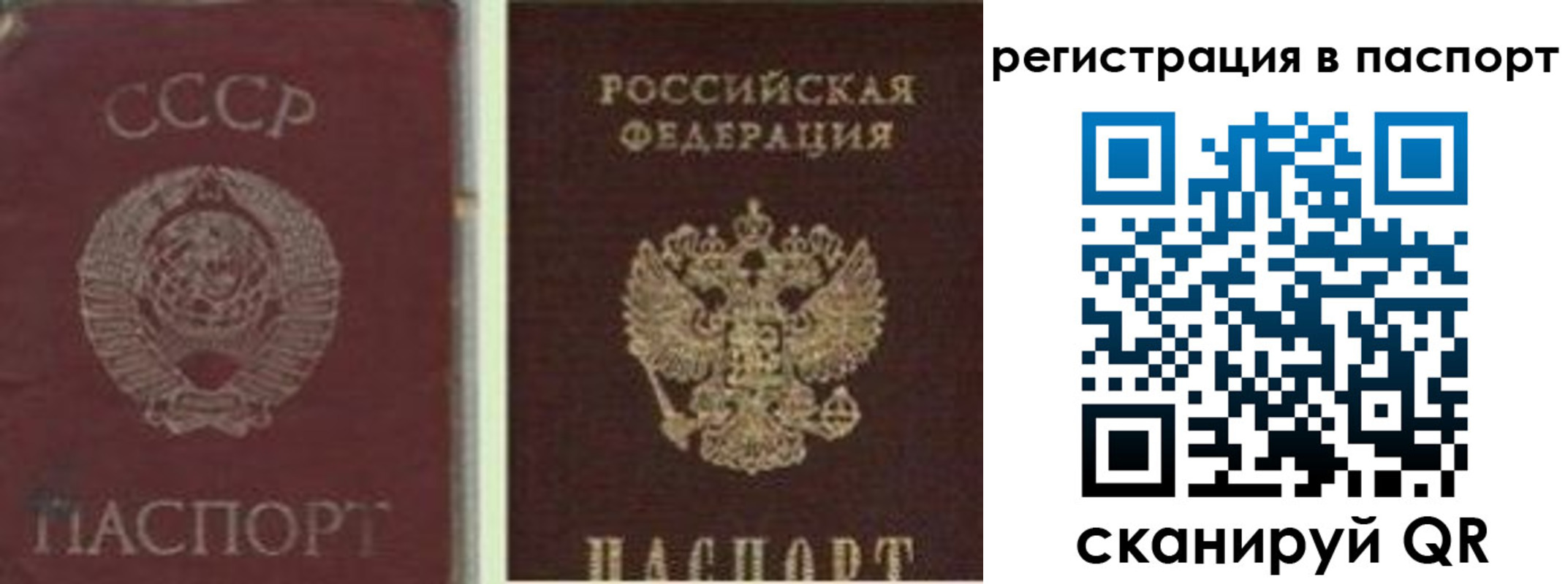 прописка для работы в Михайлове